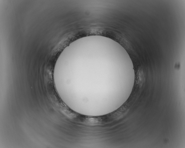 X0000114600522200911161357