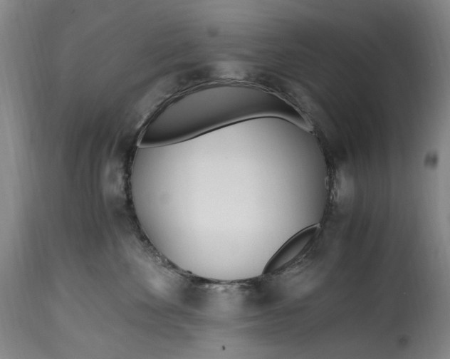 X0000114600524200911161357