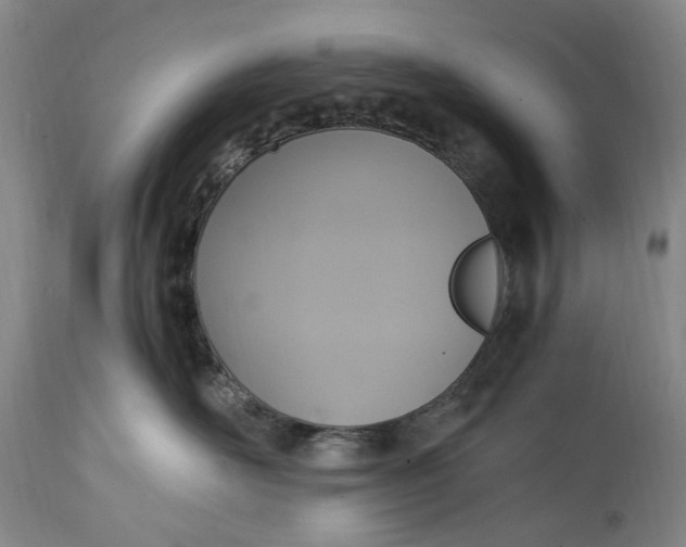 X0000114600526200911161357