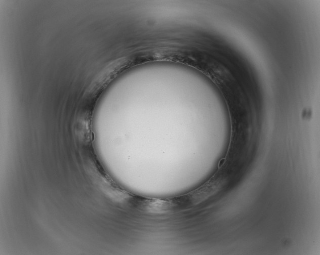 X0000114600527200911161357