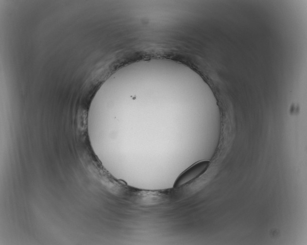 X0000114600528200911161357