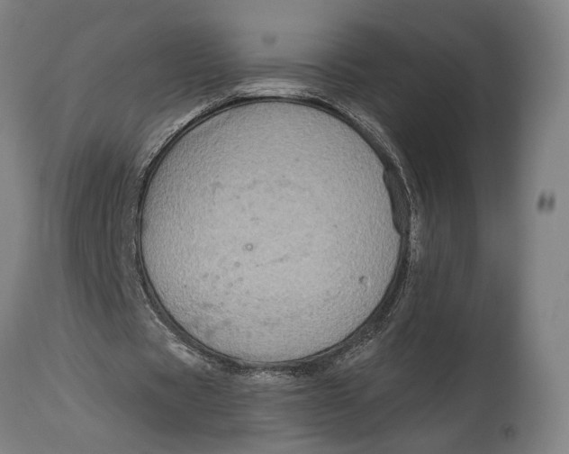 X0000114600529200911161356