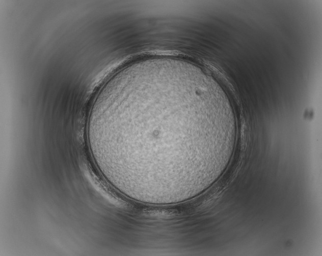 X0000114600533200911161356