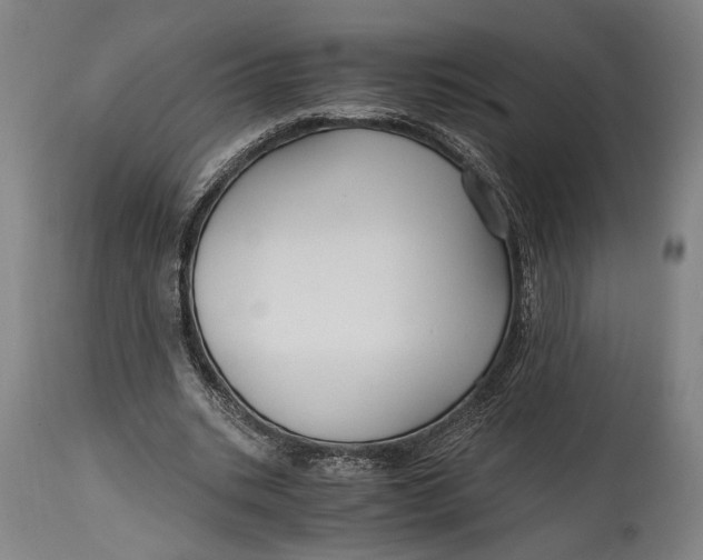 X0000114600535200911161356