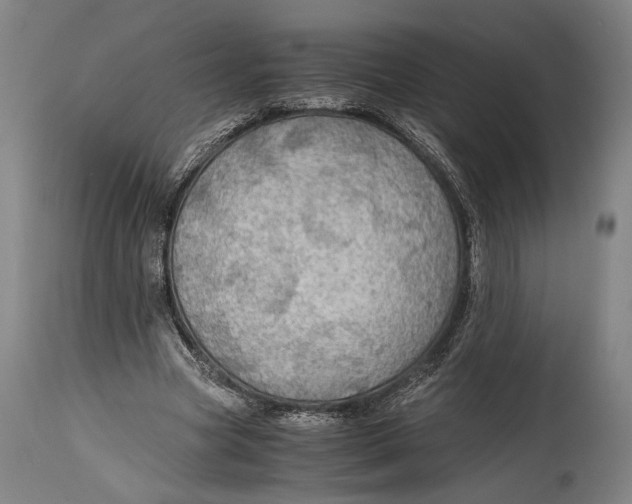 X0000114600537200911161356