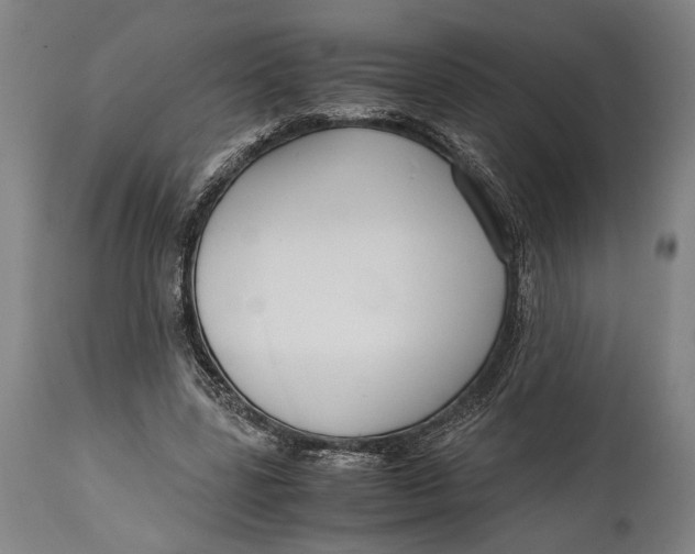 X0000114600539200911161356