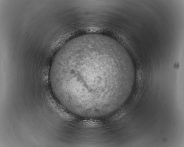 X0000114600545200911161356