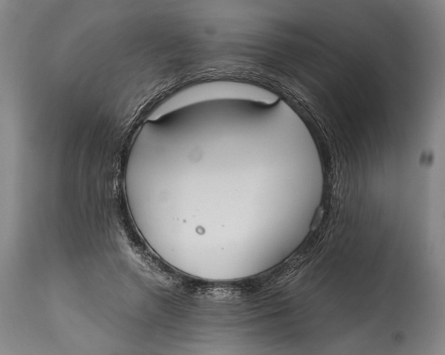 X0000114600546200911161357