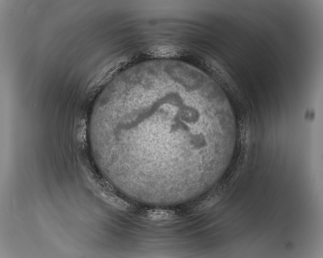 X0000114600549200911161357