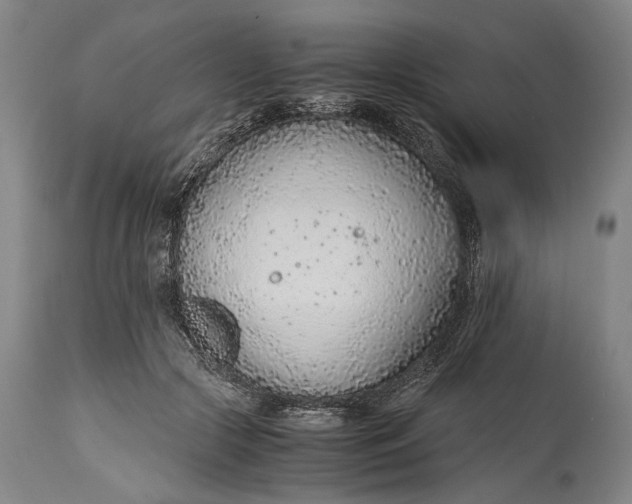 X0000114600553200911161357