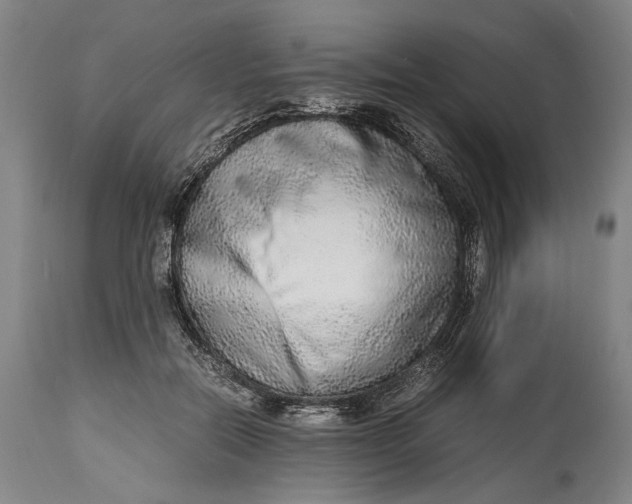 X0000114600554200911161357