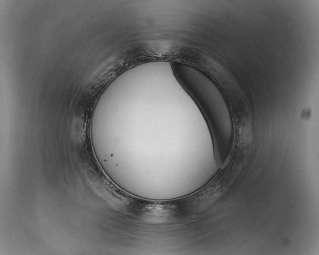 X0000114600558200911161357