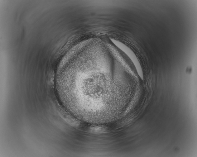 X0000114600561200911161357