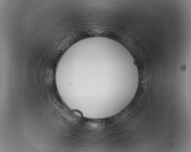 X0000114600563200911161357