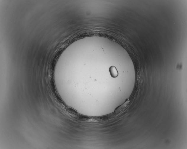 X0000114600566200911161357