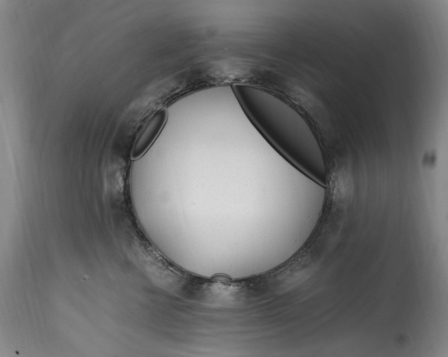 X0000114600570200911161357