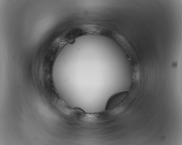 X0000114600573200911161357