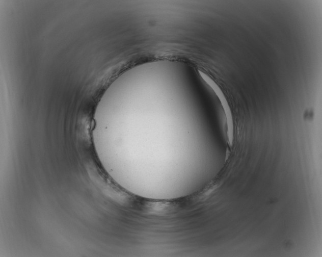 X0000114600575200911161357