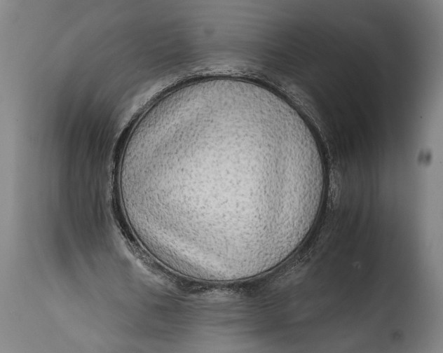 X0000114600578200911161356