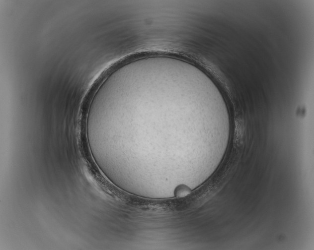 X0000114600580200911161356