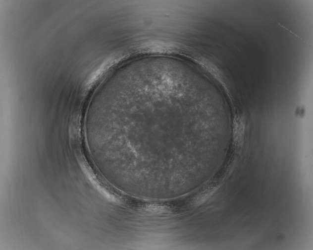 X0000114600581200911161356