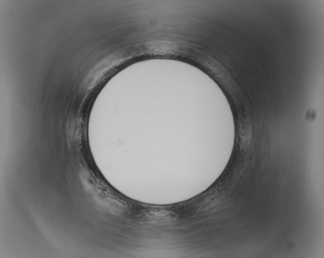 X0000114600583200911161356