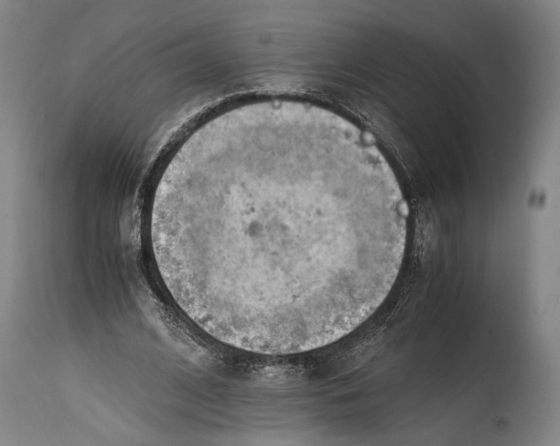 X0000114600584200911161356