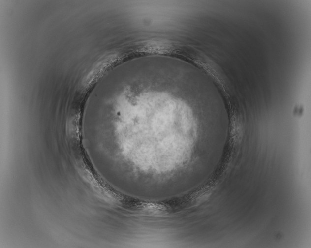 X0000114600585200911161356