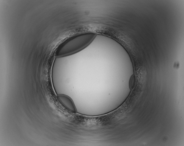 X0000114600587200911161356