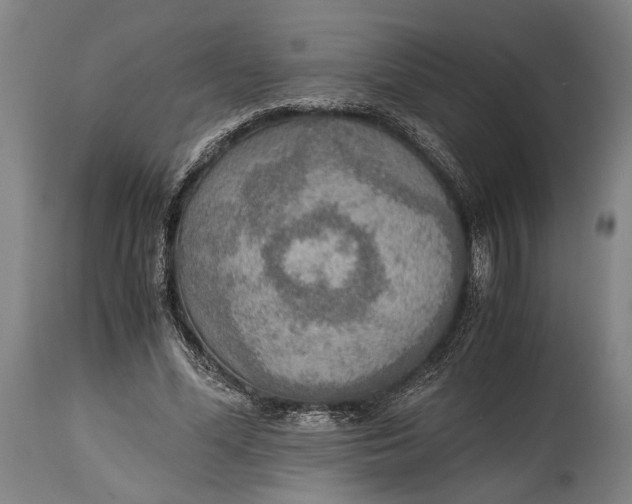 X0000114600588200911161356