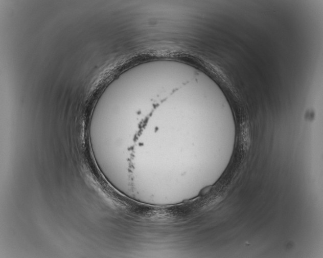 X0000114600589200911161356