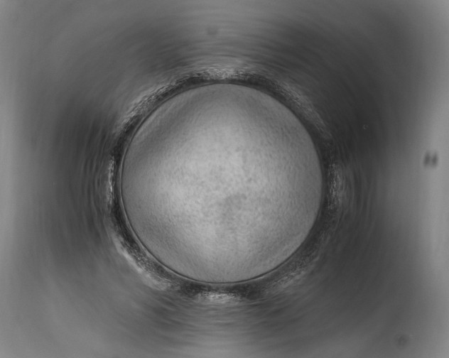 X0000114600590200911161356