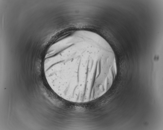 X0000114600592200911161356