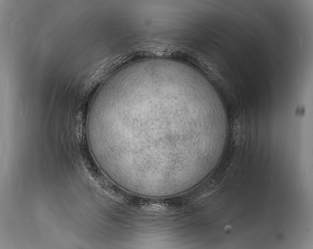 X0000114600594200911161356