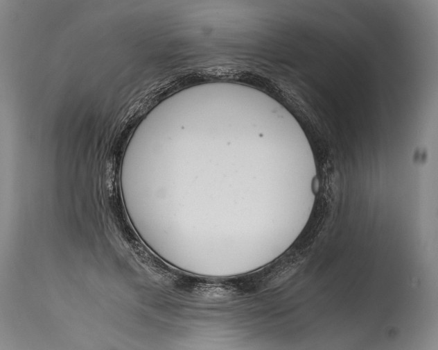 X0000114600597200911161356