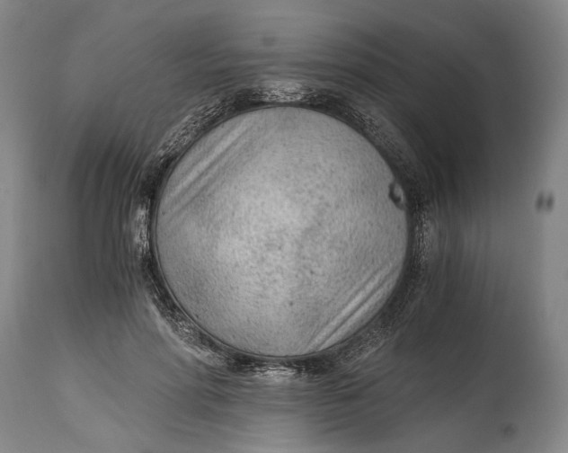 X0000114600598200911161356