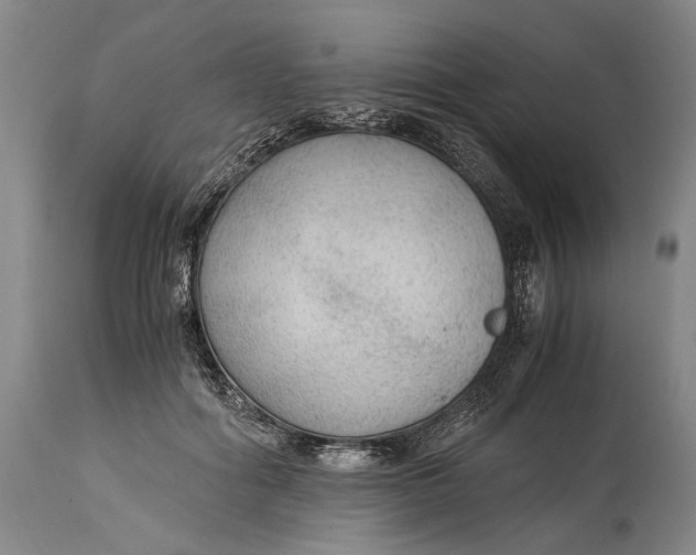 X0000114600602200911161356