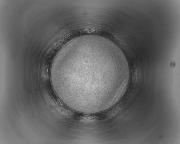 X0000114600606200911161356