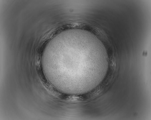 X0000114600607200911161356