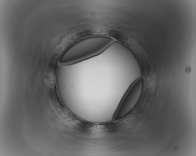 X0000114600609200911161356