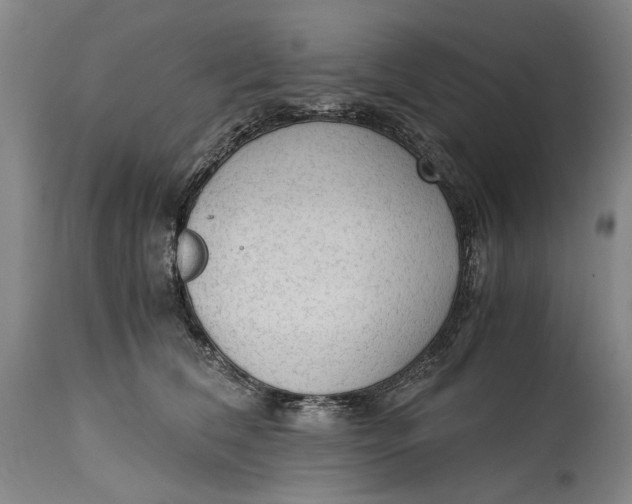 X0000114600612200911161356