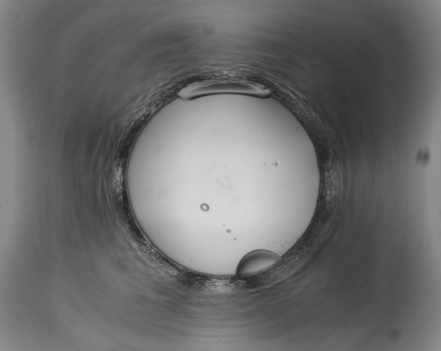 X0000114600613200911161355