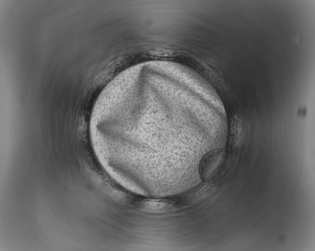 X0000114600614200911161355