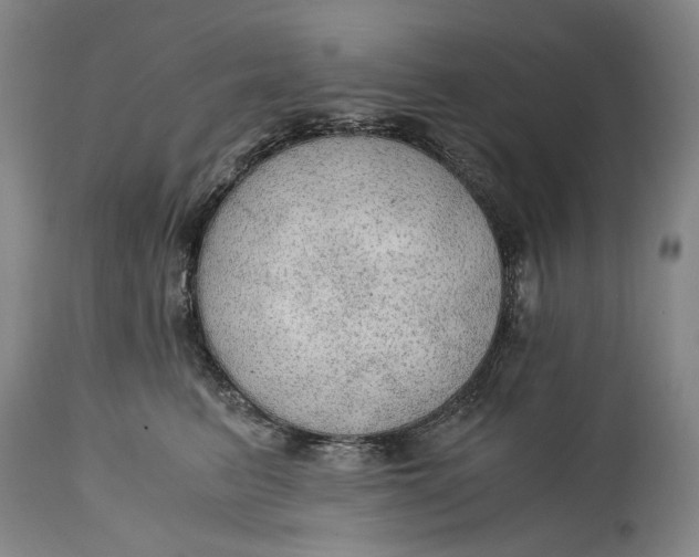 X0000114600615200911161355