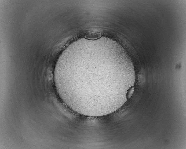 X0000114600620200911161355