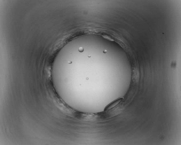 X0000114600621200911161355