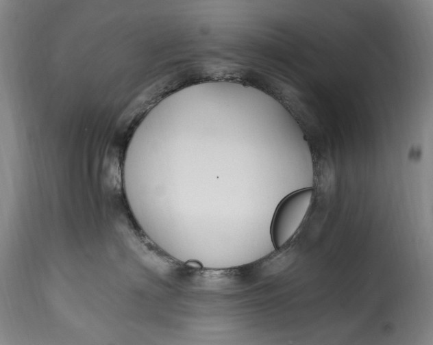 X0000114600622200911161355