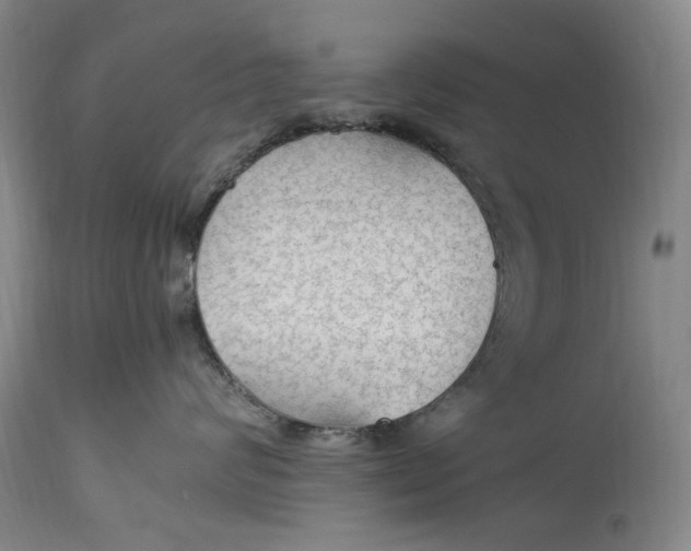 X0000114600624200911161355