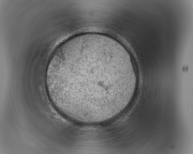 X0000114600625200911161355