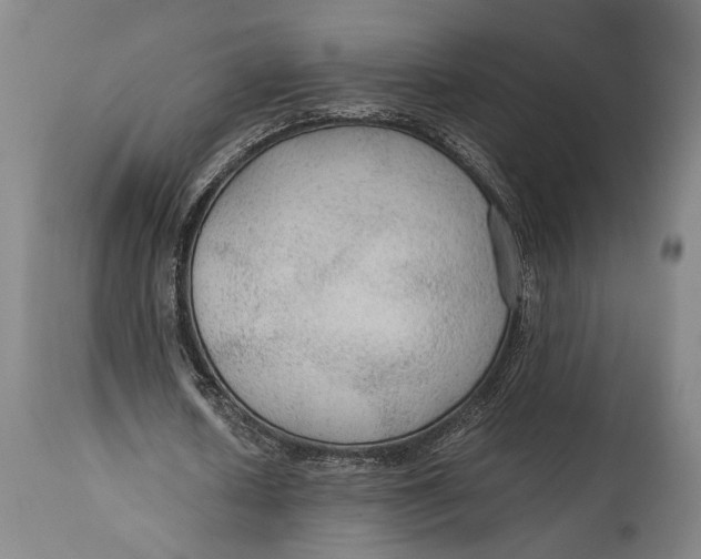 X0000114600626200911161355